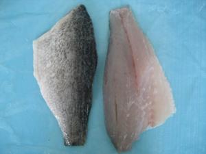 FROZEN BARRAMUNDI FILLET