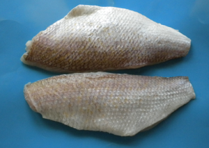 FROZEN GOLDBAND SNAPPER FILLET