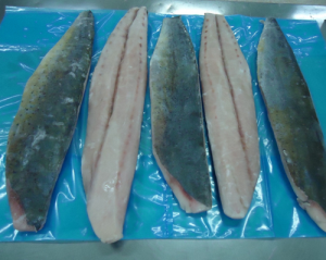 FROZEN MAHI MAHI FILLET SKIN ON