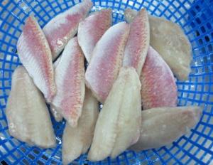 FROZEN RED MULLET FILLET