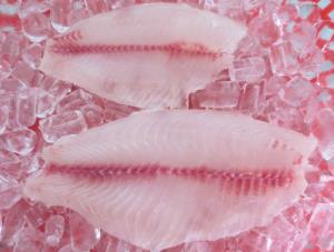 FROZEN RED TILAPIA FILLET SKINLESS