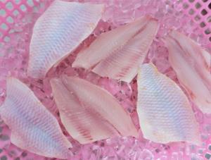 FROZEN RED TILAPIA FILLET SKIN ON