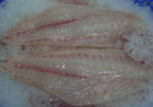 FROZEN SWEETLIP FILLET