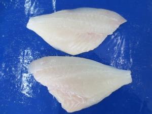 FROZEN WHITE SNAPPER (SHIRODAI) FILLET