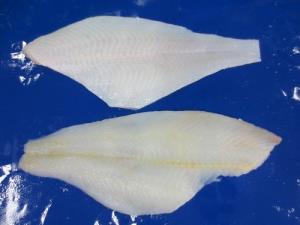 FROZEN YELLOWFIN SOLE FILLET WITH WHITE SKIN ON