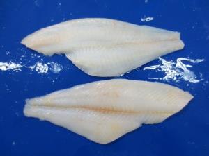 FROZEN YELLOWFIN SOLE FILLET